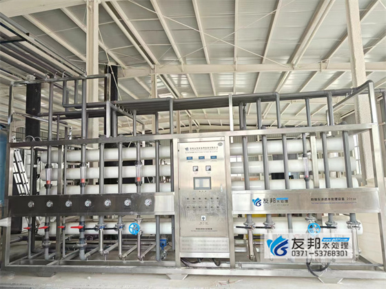 新疆格潤(rùn)化工20噸反滲透設(shè)備